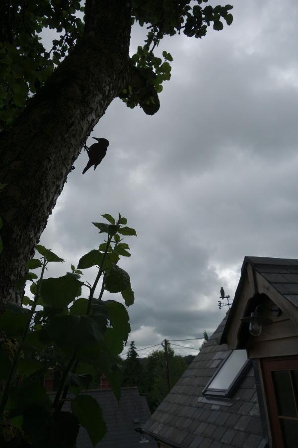 The Roost *
